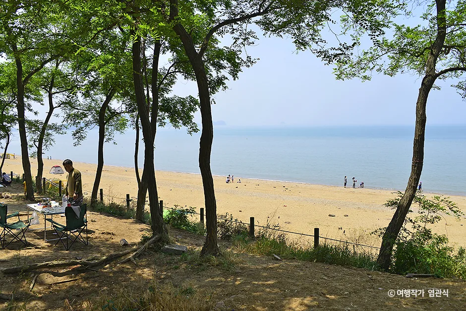 방아머리 해변 해송숲 산책